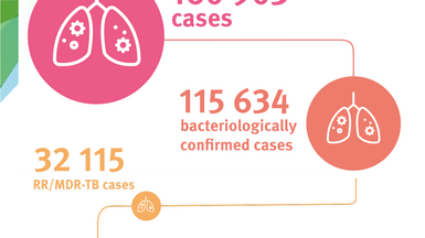Pulmonary TB cases in the European Region, 2022